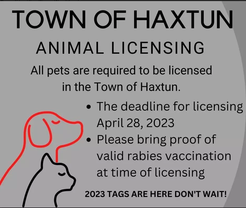 Animal Licensing